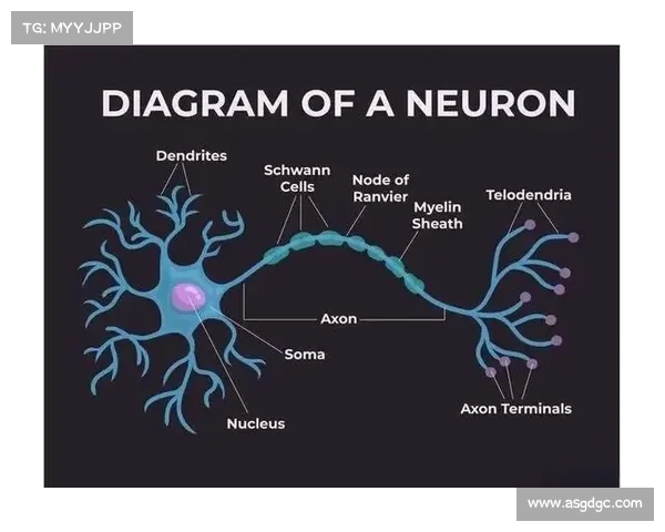 揭开拉什福德积分兑换时间背后的隐藏规则与神秘运作机制